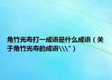 角竹光寿打一成语是什么成语（关于角竹光寿的成语\