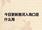 今日更新黄河入海口是什么海