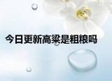 今日更新高粱是粗粮吗
