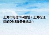 上海市电信dns地址（上海松江区的DNS服务器地址）