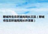 聊城市生态环境局局长王凯（聊城市生态环境局局长许泽英）
