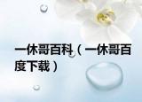 一休哥百科（一休哥百度下载）