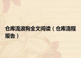 仓库流浪狗全文阅读（仓库流程报告）