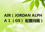 AIR（JORDAN ALPHA 1 （GS） 配置问题）