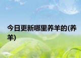 今日更新哪里养羊的(养羊)