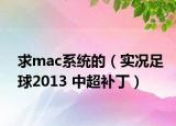 求mac系统的（实况足球2013 中超补丁）