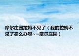 摩尔庄园拉姆不见了（我的拉姆不见了怎么办呀~~摩尔庄园）