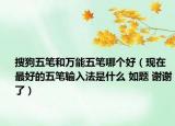 搜狗五笔和万能五笔哪个好（现在最好的五笔输入法是什么 如题 谢谢了）