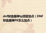 dnf狱血魔神tp技能加点（DNF狱血魔神PK怎么加点）