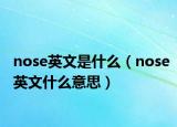 nose英文是什么（nose英文什么意思）