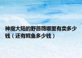 神魔大陆的野蔷薇哪里有卖多少钱（还有鳕鱼多少钱）