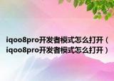 iqoo8pro开发者模式怎么打开（iqoo8pro开发者模式怎么打开）