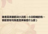 谁是真英雄歌词小沈阳（小沈阳唱的有一首歌里有句我是真英雄是什么歌）