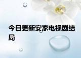 今日更新安家电视剧结局