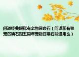 问道经典服稀有宠物召唤石（问道稀有骑宠召唤石跟五周年宠物召唤石能通用么）