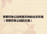 京那巴鲁公园有着怎样的生态环境（京那巴鲁公园的交通）