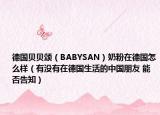 德国贝贝颂（BABYSAN）奶粉在德国怎么样（有没有在德国生活的中国朋友 能否告知）