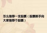 怎么推荐一支股票（股票新手向大家推荐个股票）
