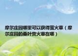 摩尔庄园哪里可以获得萤火草（摩尔庄园的桑叶荧火草在哪）