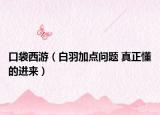 口袋西游（白羽加点问题 真正懂的进来）