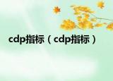 cdp指标（cdp指标）
