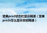 坚果pro2状态栏显示网速（坚果pro2s怎么显示实时网速）