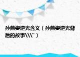 孙燕姿逆光含义（孙燕姿逆光背后的故事\