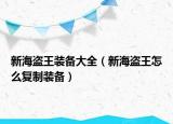 新海盗王装备大全（新海盗王怎么复制装备）