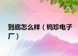 到底怎么样（钨珍电子厂）