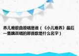 养儿难歌曲原唱是谁（《小儿难养》最后一集魏晨唱的那首歌是什么名字）