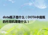 dota瓶子是什么（DOTA中魔瓶的作用机理是什么）