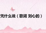 凭什么说（歌词 刘心的）