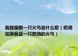 我就像那一只火鸟是什么歌（歌词如果我是一只燃烧的火鸟）