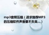 mp3音频压缩（请求推荐MP3的压缩软件声音要不失真…）