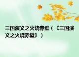 三国演义之火烧赤壁（《三国演义之火烧赤壁》）
