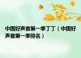 中国好声音第一季丁丁（中国好声音第一季排名）
