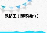飘移王（飘移族⑴）