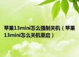苹果13mini怎么强制关机（苹果13mini怎么关机重启）