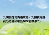 九阴桃花岛奇遇攻略（九阴真经桃花岛奇遇和哪些NPC有关系?）