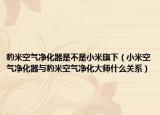 豹米空气净化器是不是小米旗下（小米空气净化器与豹米空气净化大师什么关系）