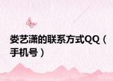 娄艺潇的联系方式QQ（手机号）