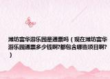 潍坊富华游乐园是通票吗（现在潍坊富华游乐园通票多少钱啊?都包含哪些项目啊?）