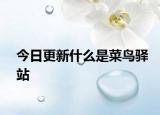 今日更新什么是菜鸟驿站