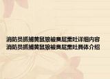 消防员抓捕黄鼠狼被臭屁熏吐详细内容 消防员抓捕黄鼠狼被臭屁熏吐具体介绍