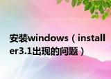 安装windows（installer3.1出现的问题）