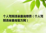 个人驾照违章查询缴费（个人驾照违章查询官方网）