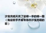 沙宝亮唱天亮了是哪一季的哪一期（我是歌手齐秦专场中沙宝亮唱的歌）