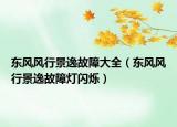 东风风行景逸故障大全（东风风行景逸故障灯闪烁）