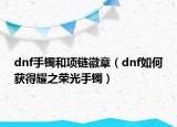 dnf手镯和项链徽章（dnf如何获得耀之荣光手镯）