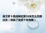 保卫萝卜挑战模式第18关怎么无损过去（快疯了谁给个布局图）